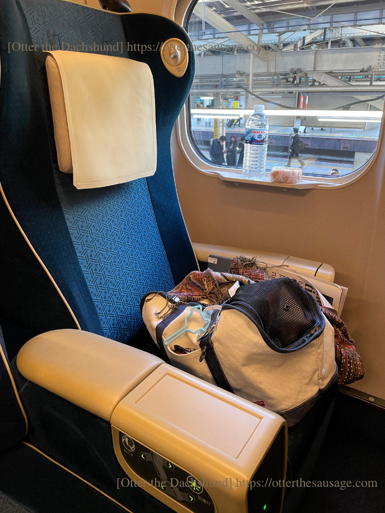 photo_犬と旅行_犬連れ旅行_travel tips for riding on the bullet train with dogs_Otter the Dachshund_犬連れ新幹線の乗り方完全マニュアル_カニンヘンダックス_オッター_グリーン車_free stitchキャリーバッグ